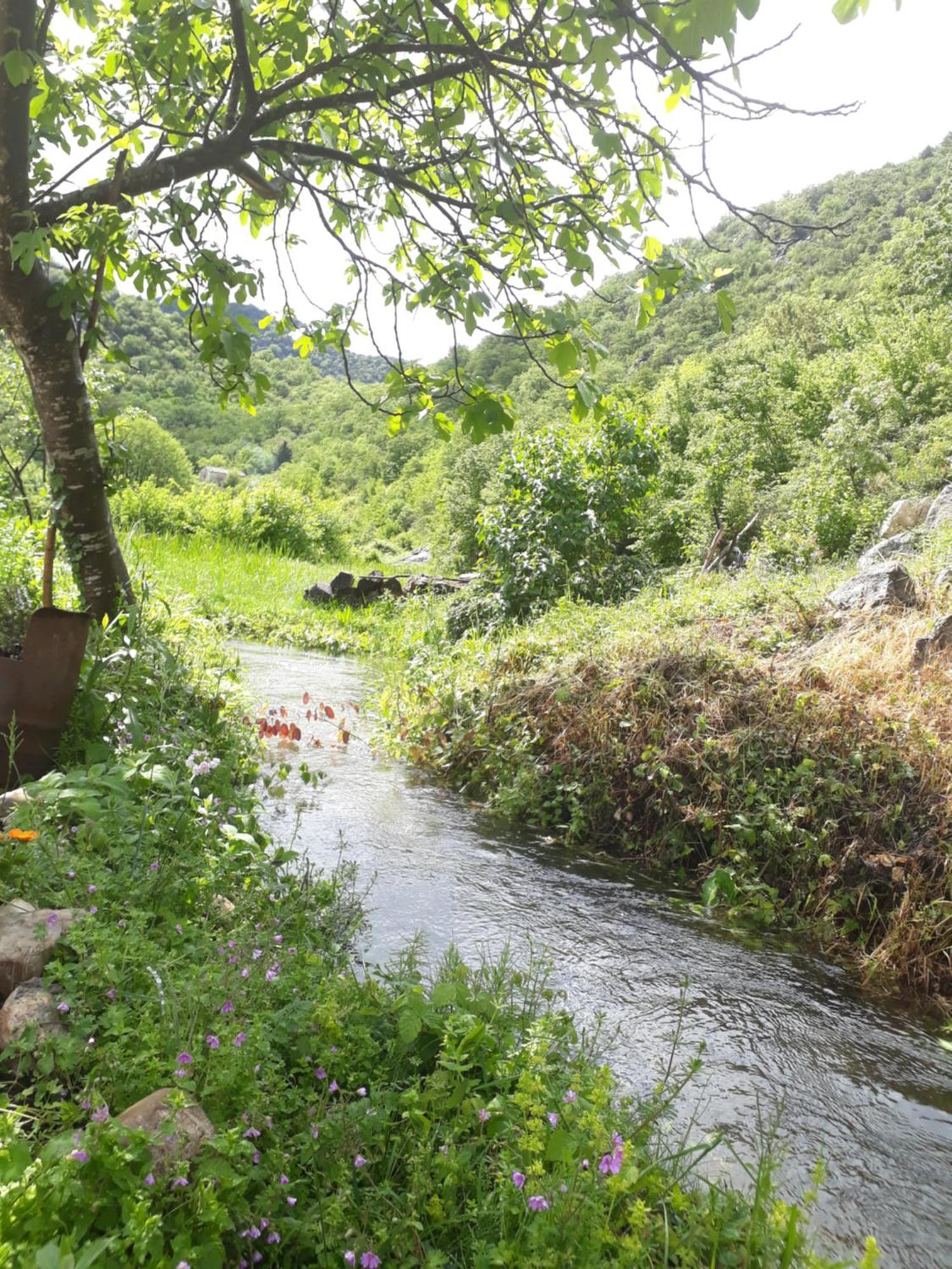 Camp Sunny Hills Hotel Virpazar Exterior photo