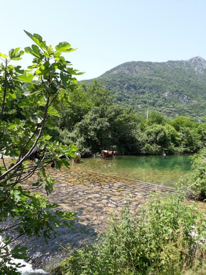 Camp Sunny Hills Hotel Virpazar Exterior photo