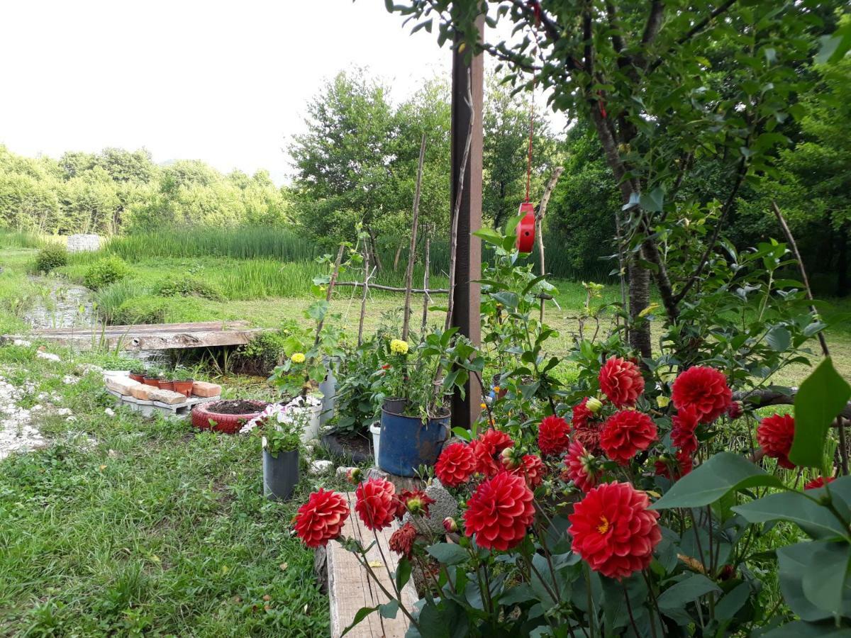 Camp Sunny Hills Hotel Virpazar Exterior photo
